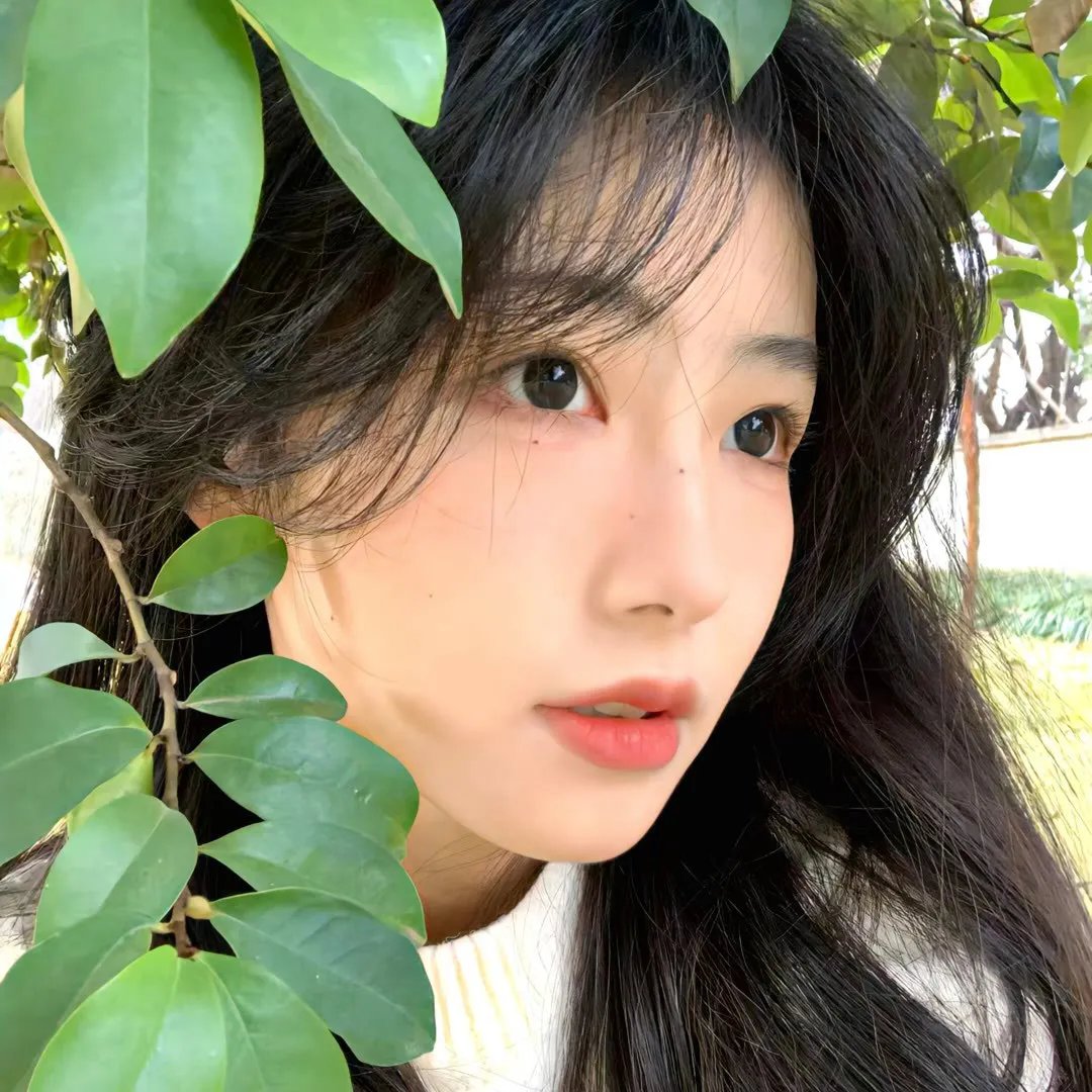 信长之枪